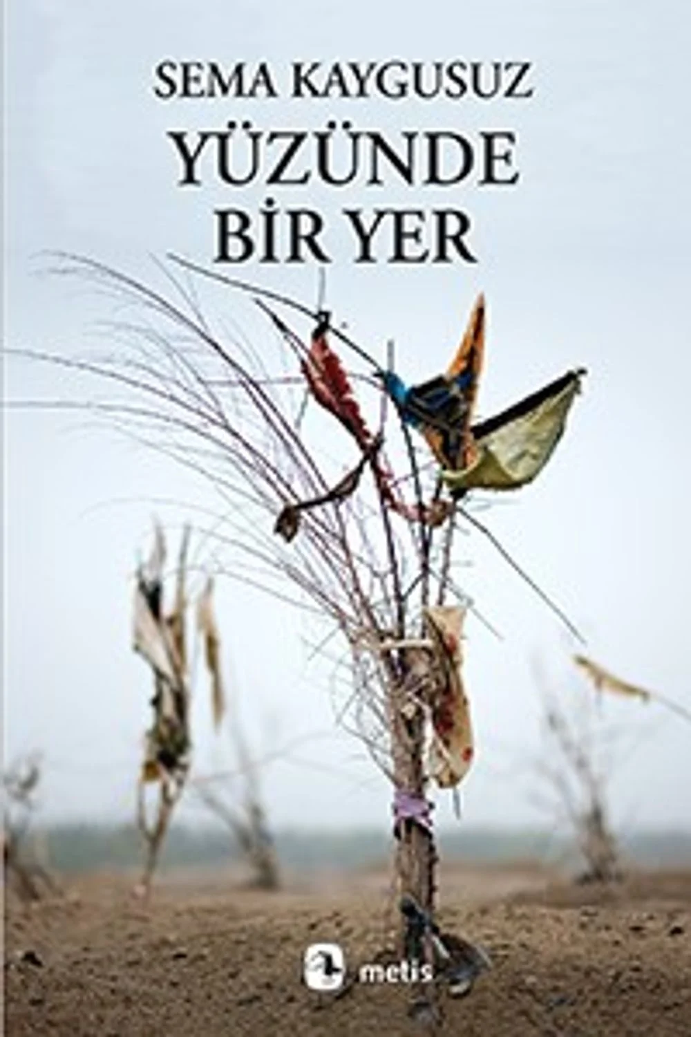Yüzünde Bir Yer kapağı